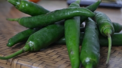 green chili